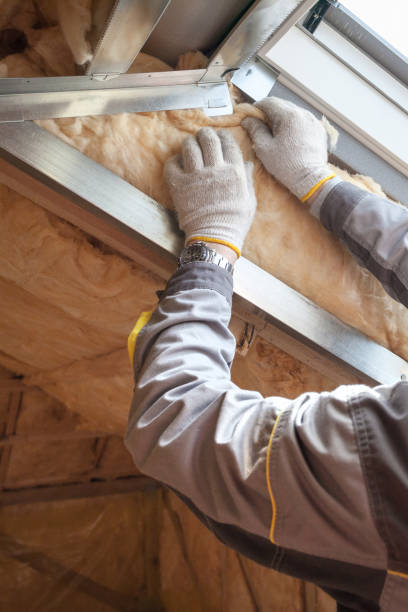 Best Eco-Friendly Insulation in Mount Pleasant, UT