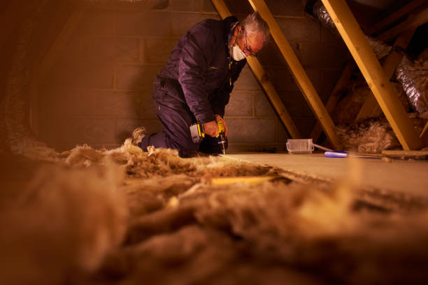 Best Geographic-Specific Insulation Services in Mount Pleasant, UT